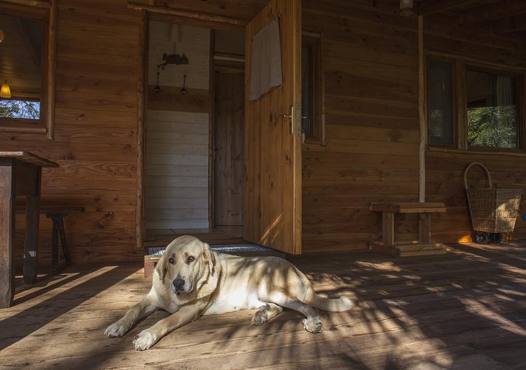 Masia El Moli De Aulet Country house
