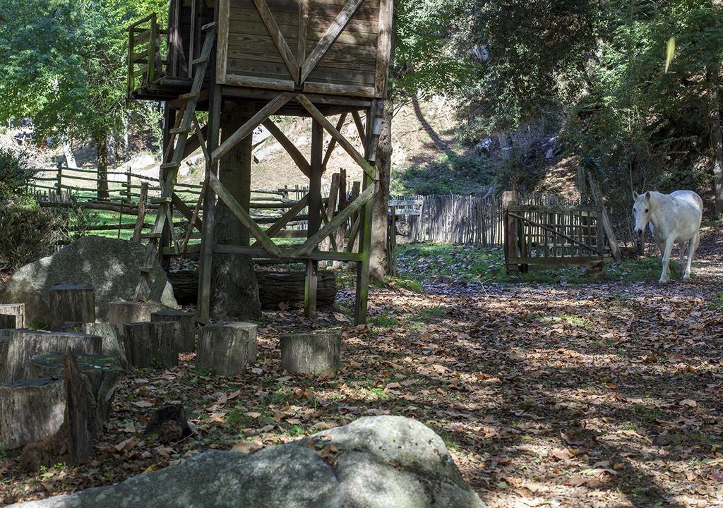 Masia El Moli De Aulet Landhuis *